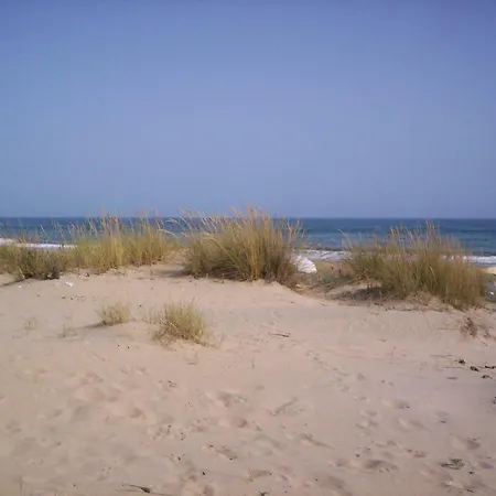 Atico En Americas Primera Linea De Playa *