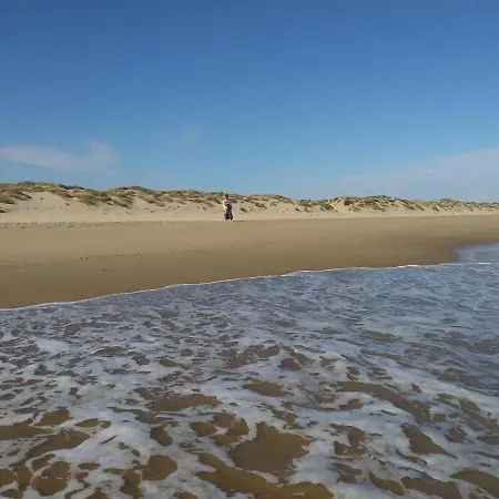 Atico En Americas Primera Linea De Playa