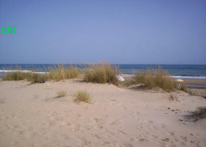 Atico En Americas Primera Linea De Playa *