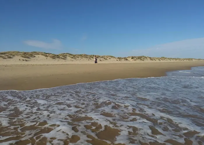 Atico En Americas Primera Linea De Playa